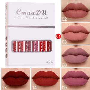 Waterproof Lipstick Collection
