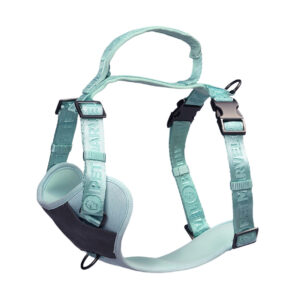Adjustable Embroidered Stylish Dog Harness